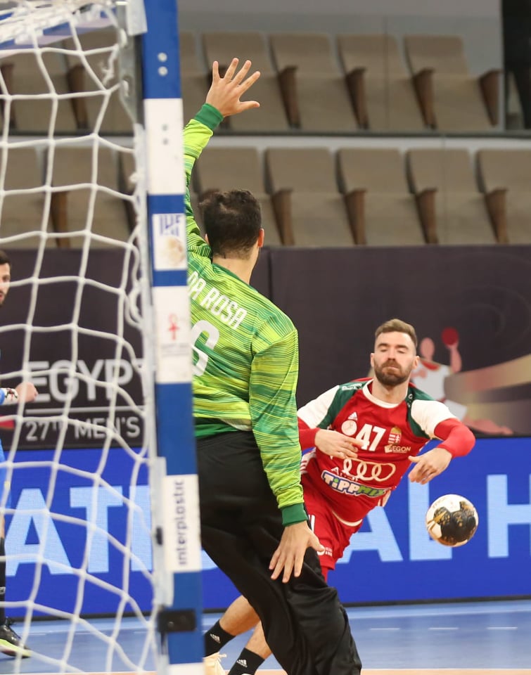 المجر تفوز على البرازيل فى الدور الرئيسي بمونديال اليد  