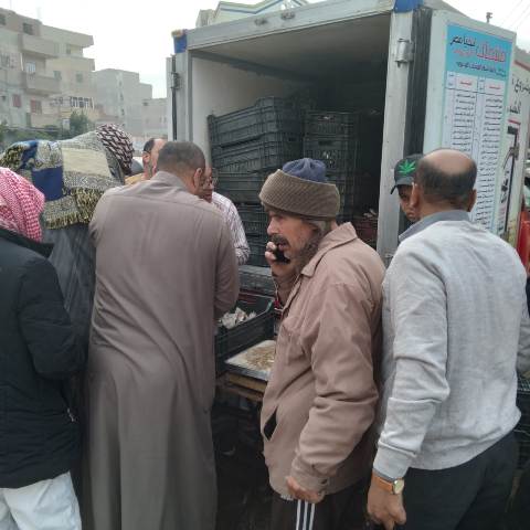 محافظ كفرالشيخ: إقبال كبير على شراء الأسماك الحية المطروحة ببيلا