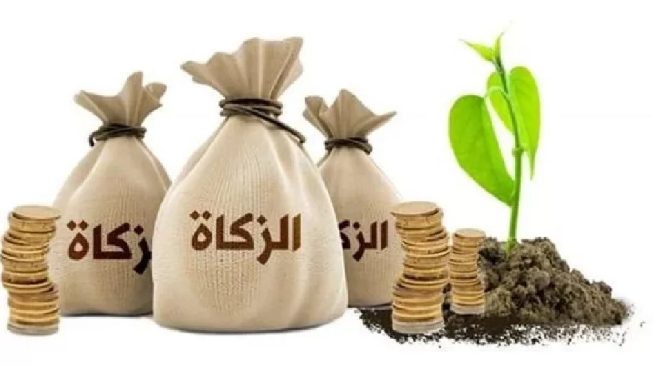 الزكاة: النصاب وشروط مقدارها الواجب إخراجه 