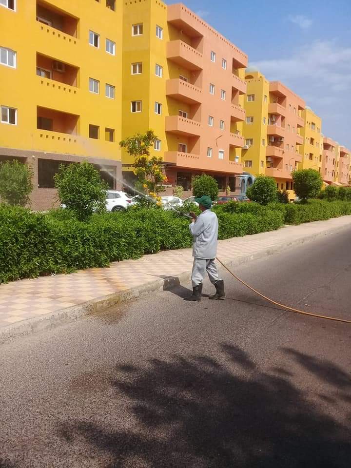 زراعة البحرالأحمر مستمرون فى حملات الرش ومقاومة الحشرات والبعوض ..صور 