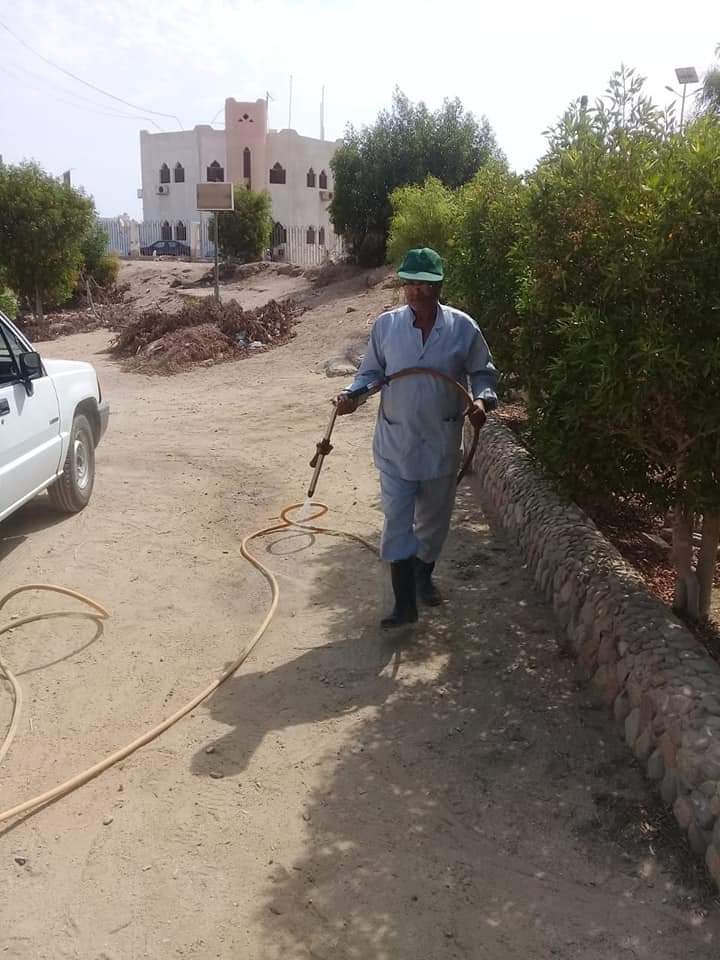 زراعة البحرالأحمر مستمرون فى حملات الرش ومقاومة الحشرات والبعوض ..صور 