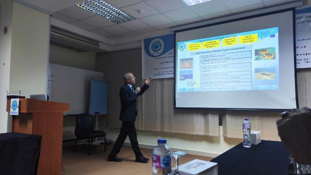 First slide
