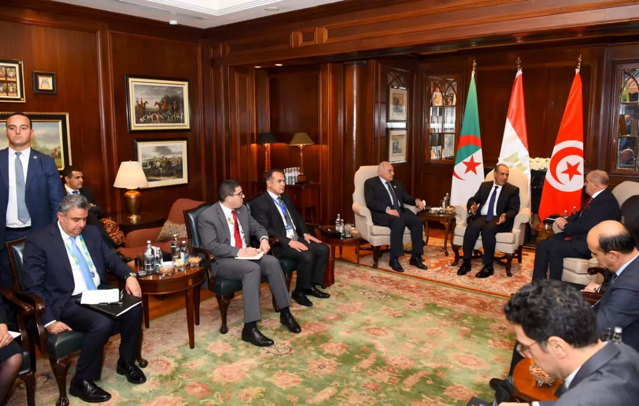 وزير الخارجية: تسوية الأزمة الليبية تأتى بالتوافق بين الأطراف دون تدخلات خارجية 