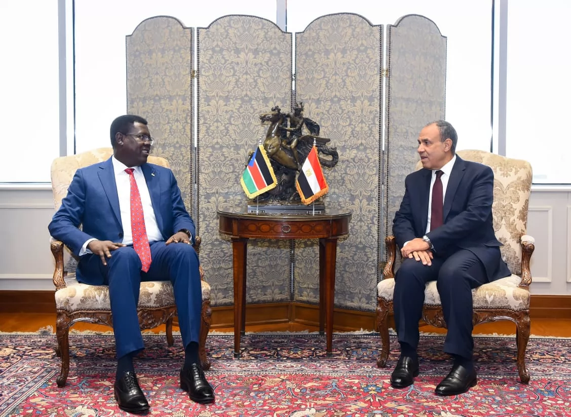 مشاورات سياسية بين وزير الخارجية المصري ووزير خارجية جنوب السودان 