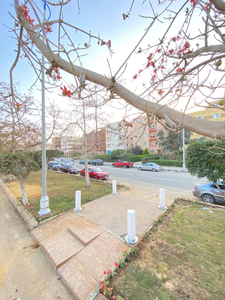 رئيس الجهاز: بدء تنفيذ خطة تركيب إضاءة ديكورية فى الطرق الرئيسية بمدينة بدر 