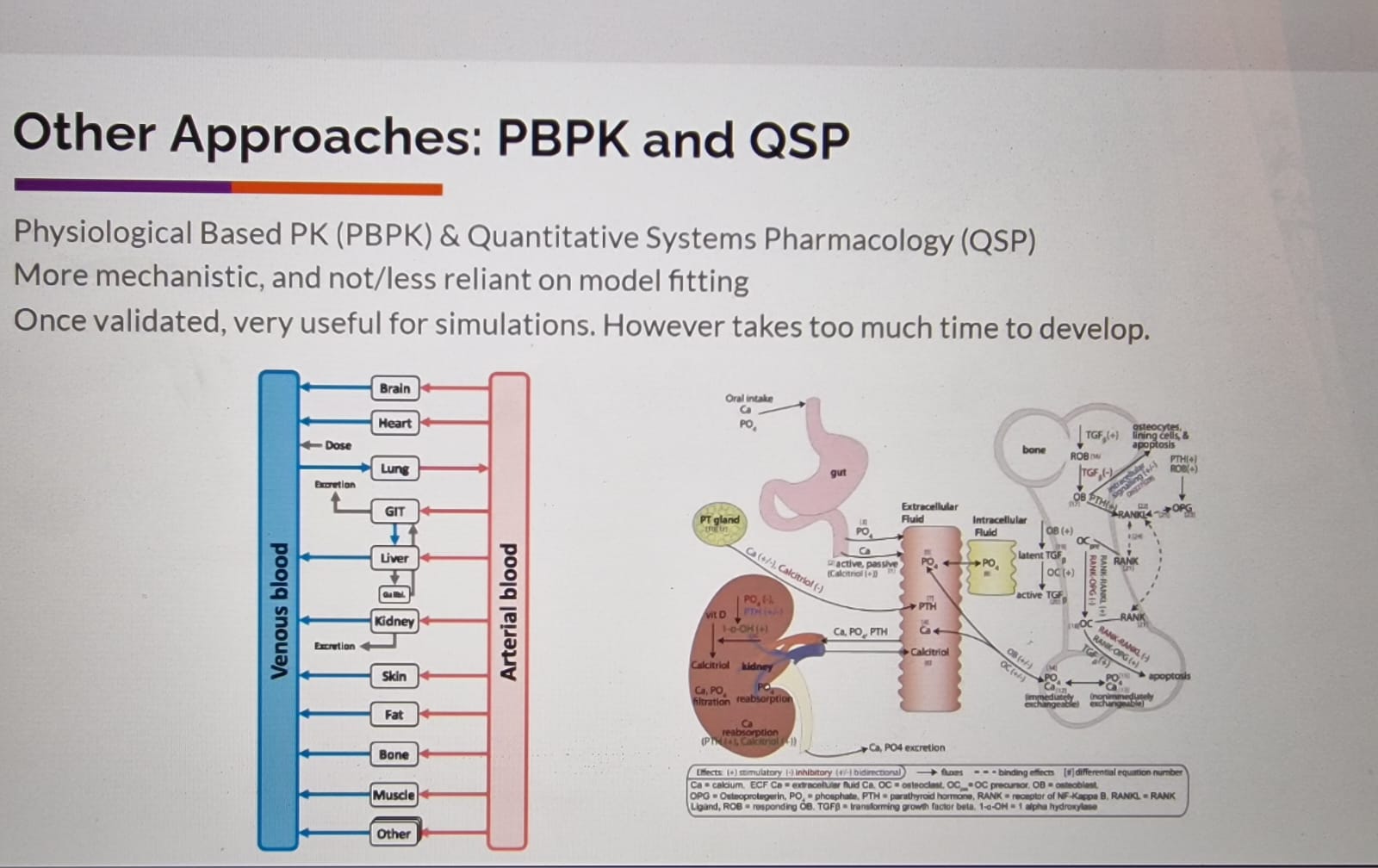 First slide
