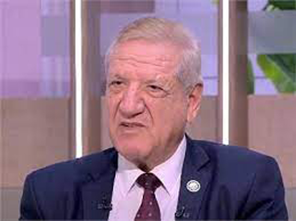 النائب فخرى الفقى