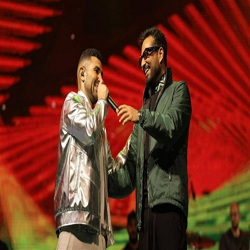 أحمد سعد وعمرو سعد 