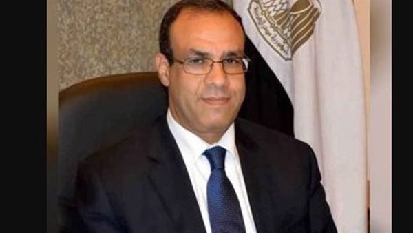 وزير الخارجية بدر عبد العاطى