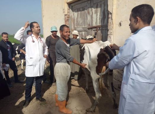 قافلة طبية بشرية وبيطرية بالدلنجات فى البحيرة .. صور 