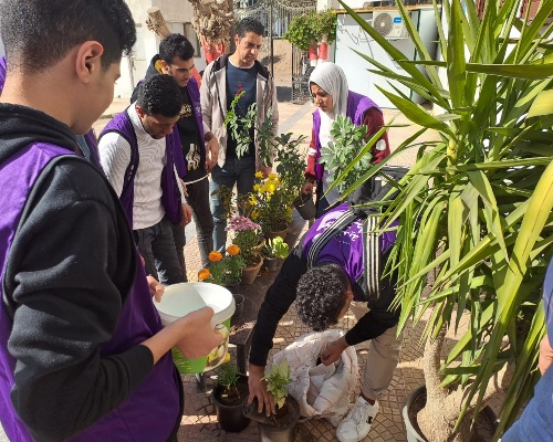 مشروع للتشجير بمراكز شباب كفر مناقر وعزيز و بدوي واسنيت بالقليوبية 