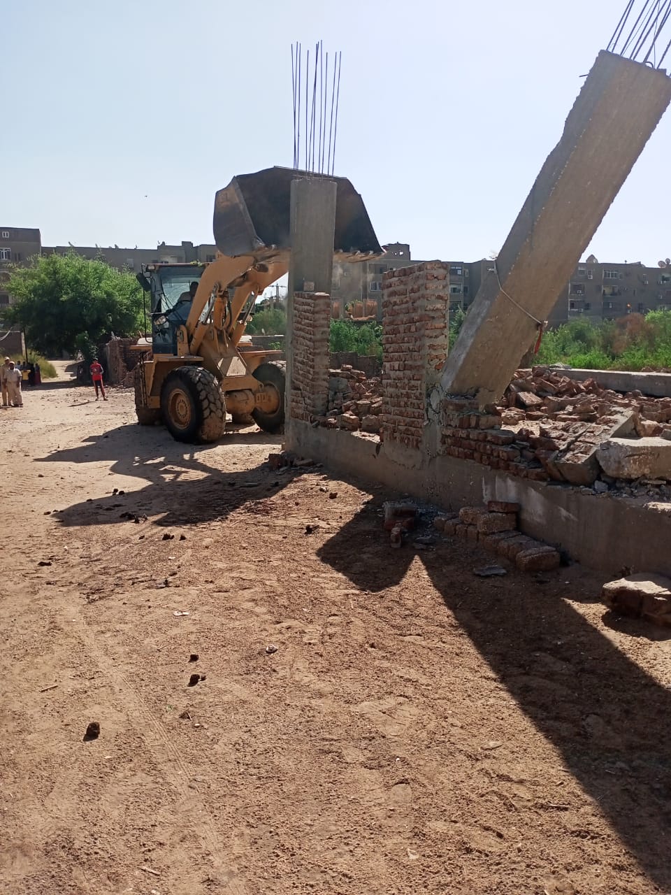 إزالة ٩ حالات تعدى على الأراضى الزراعية بأرمنت جنوب غرب الأقصر 