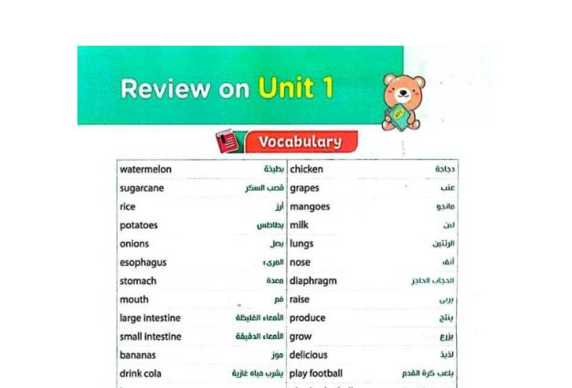 مراجعة نهائية