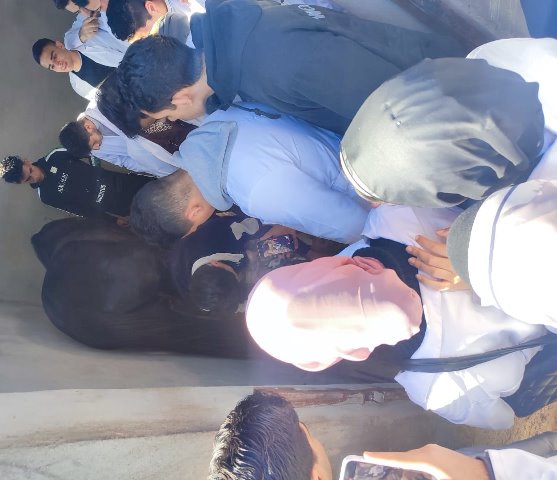 الطب البيطرى بجامعة بدر تنظم زيارة تدريبية للطلاب فى مزرعة الخيول