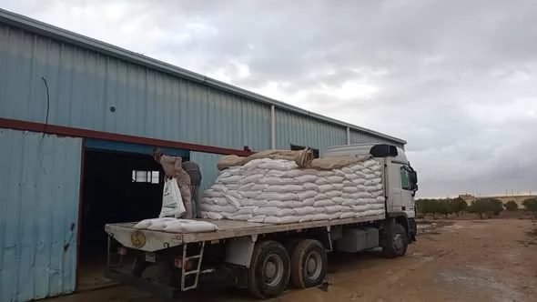 الزراعة: وصول الدعم إلى التجمعات البدوية 70 كم داخل الحدود 