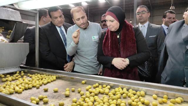 امنه و نيفين بحثان تعزيز المشروعات المتوسطة بوادى النطرون