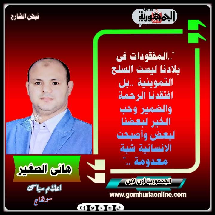 هانى الصغير