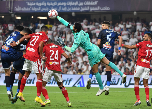 الدورى المصرى