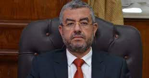 رئيس لجنة الاسكان بمجلس النواب سعد حموده