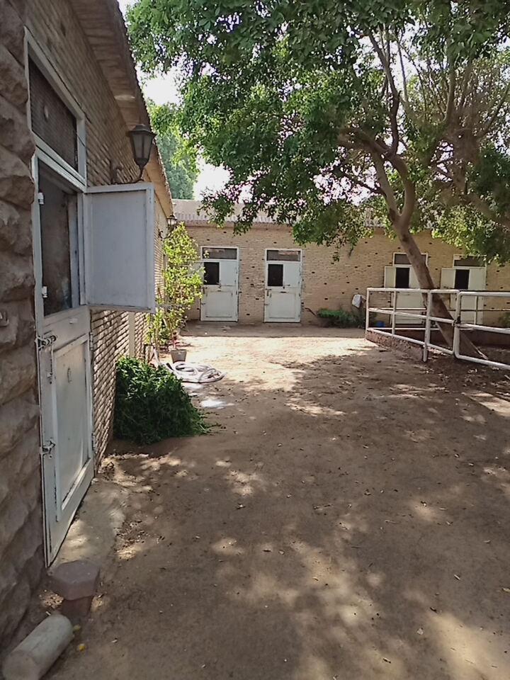  قلعة الحصان العربي الأصيل تستغيث بـ وزير الشباب والرياضة