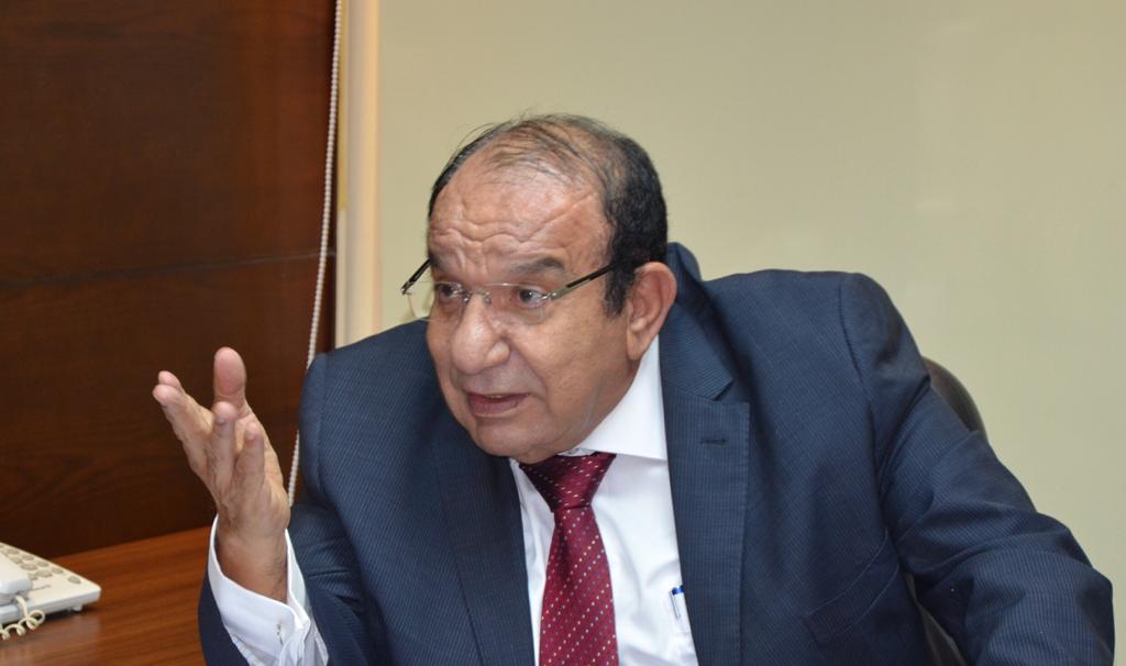 المهندس محمد عادل فتحي