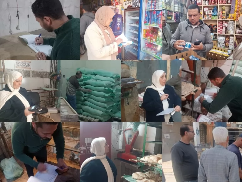 تموين القليوبية