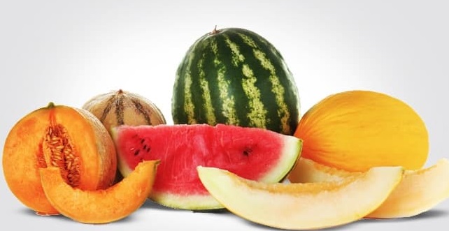 تغذية صيفيه صحية