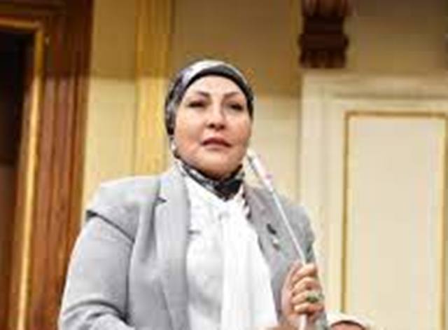 النائبة هالة أبو السعد