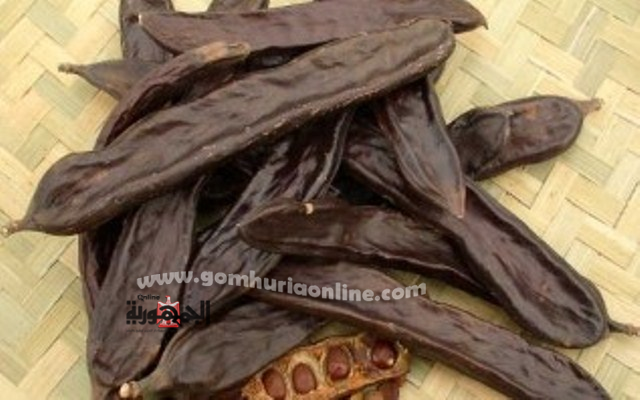 خروب منتهى الصلاحية 