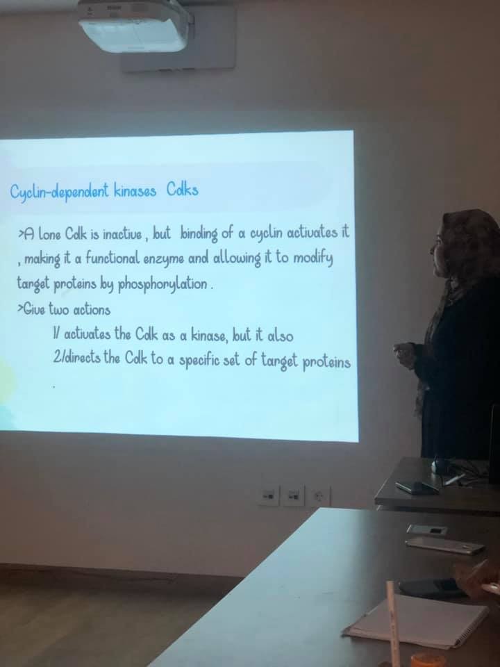 First slide