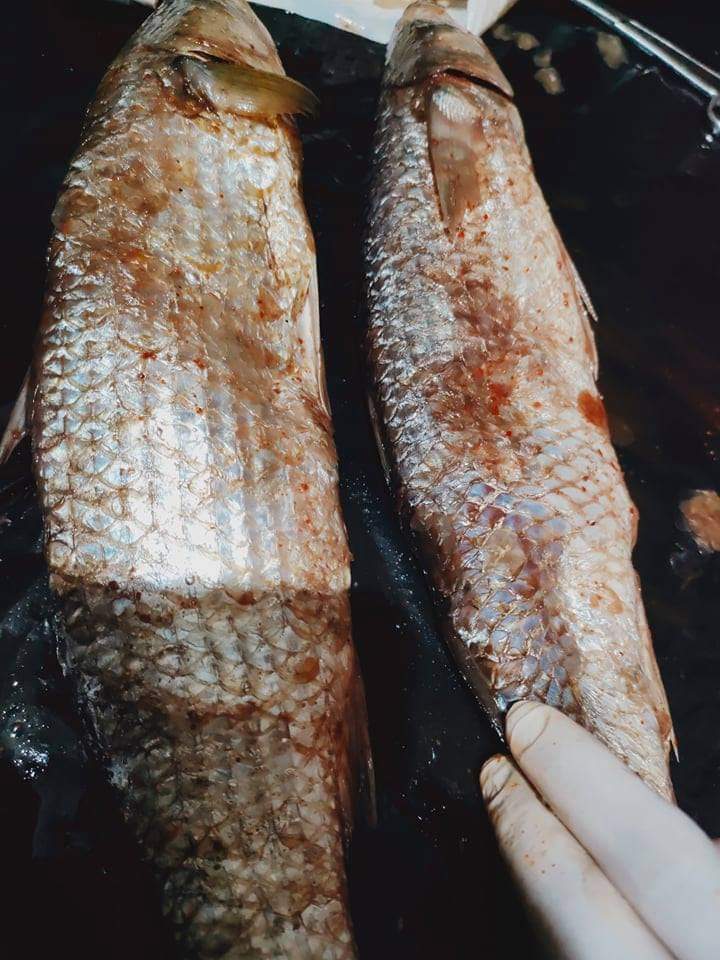 طريقة تنظيف الفسيخ بالبيت للشيف أميرة العبد بالفيديو... مطبخ صابرين