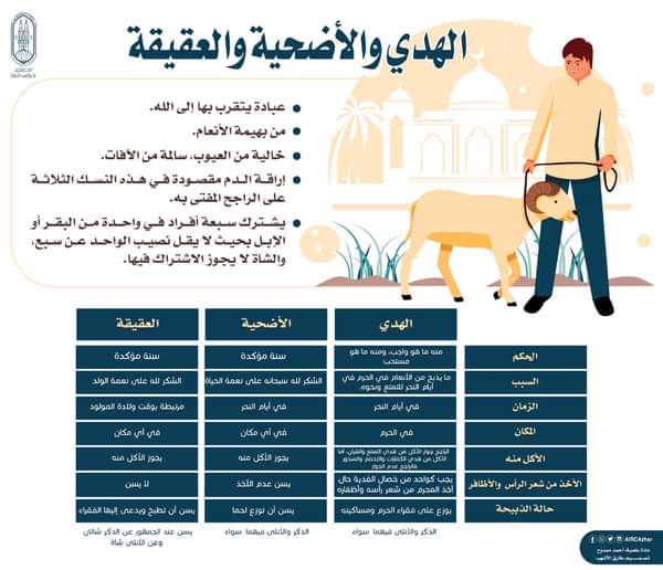 مجمع البحوث الإسلامية يوضح الفرق بين الهدي والأضحية والعقيقة