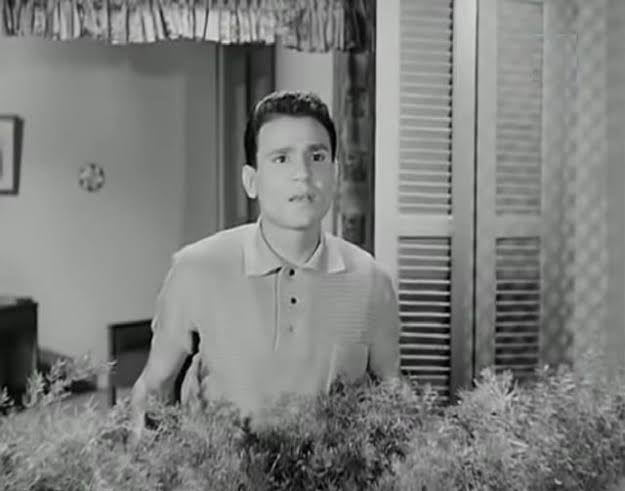 عبد الحليم حافظ 