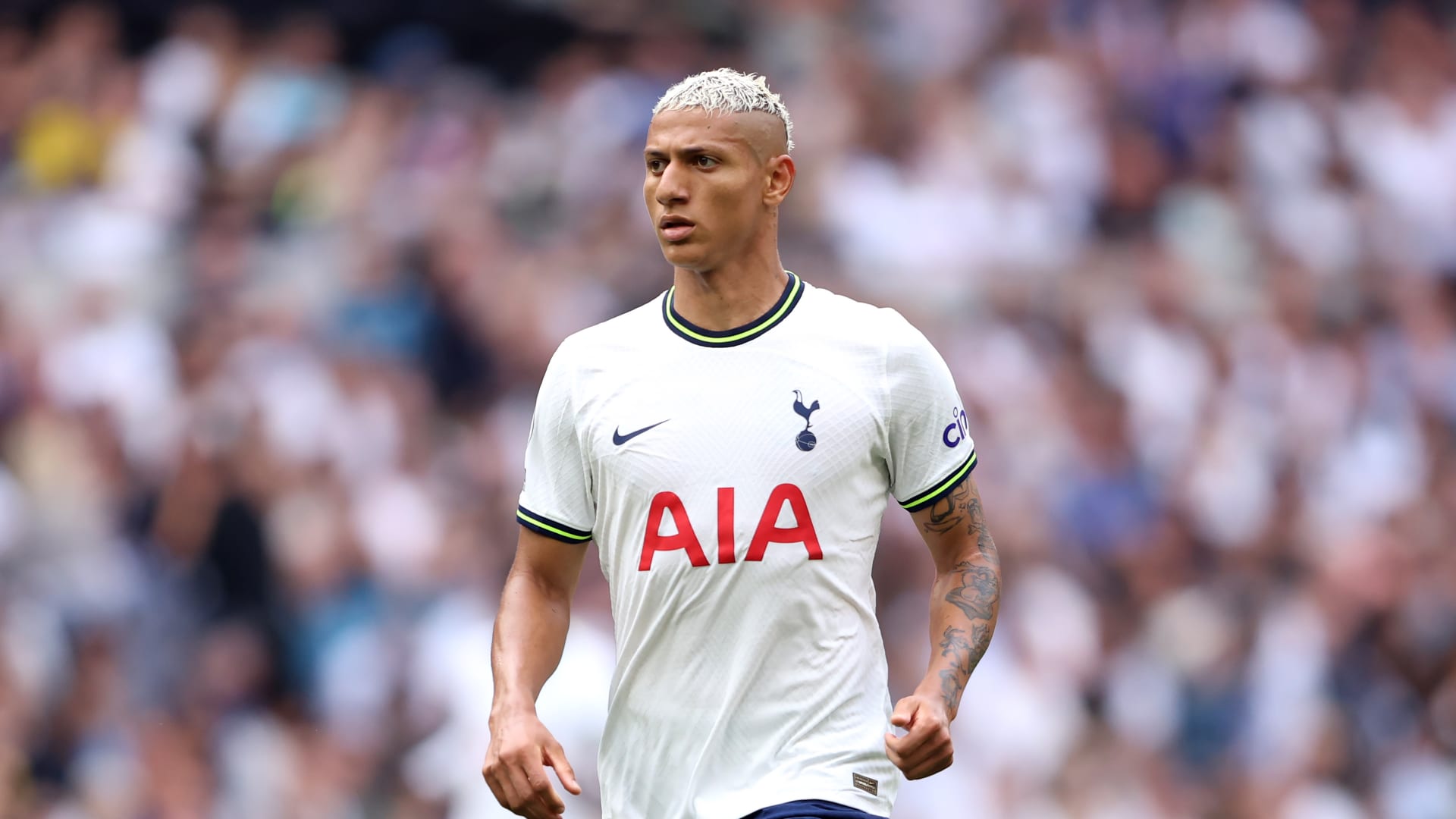 ريتشارليسون