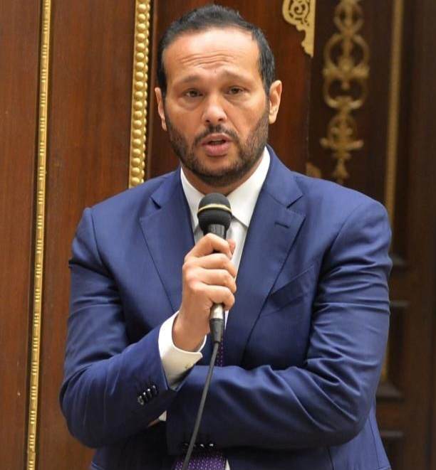 محمد حلاوة رئيس لجنة الصناعة والتجارة بمجلس الشيوخ