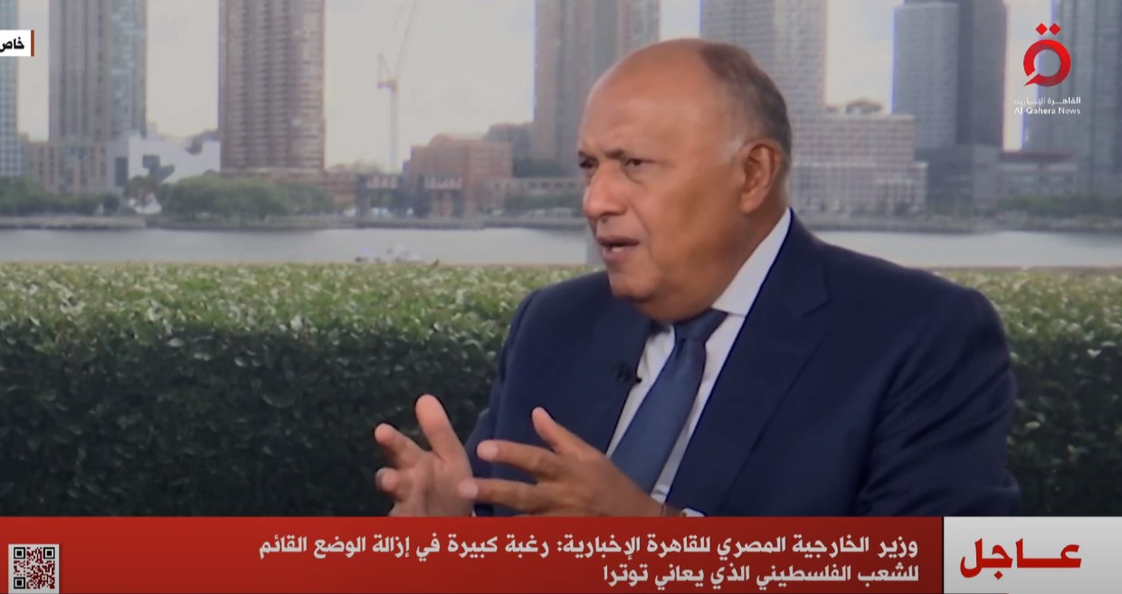 السفير سامح شكري وزير الخارجية