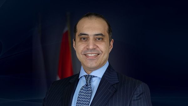  المستشار محمود فوزي
