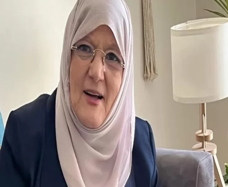 شمس البارودي 