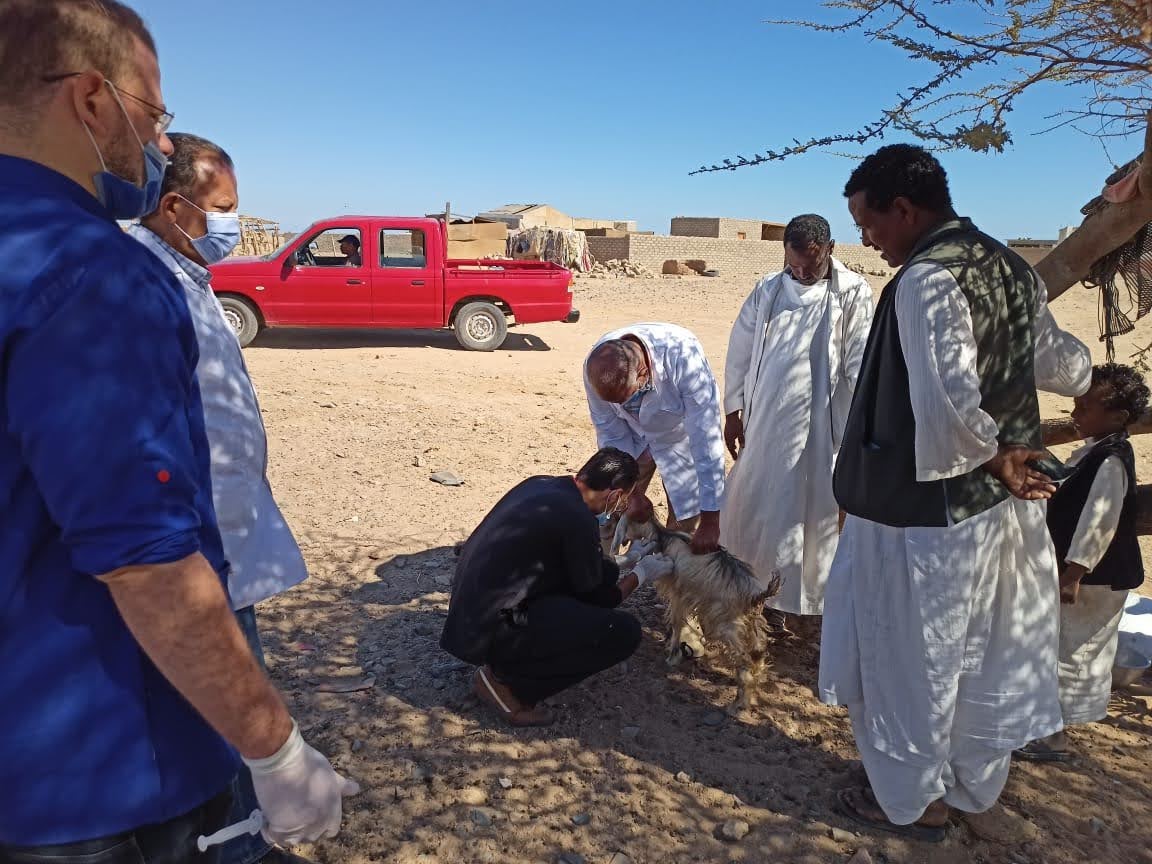 قافلة جامعة القاهرة في حلايب وشلاتين وأبو رماد تقدم خدماتها المجانية للمواطنين بالمناطق الحدودية