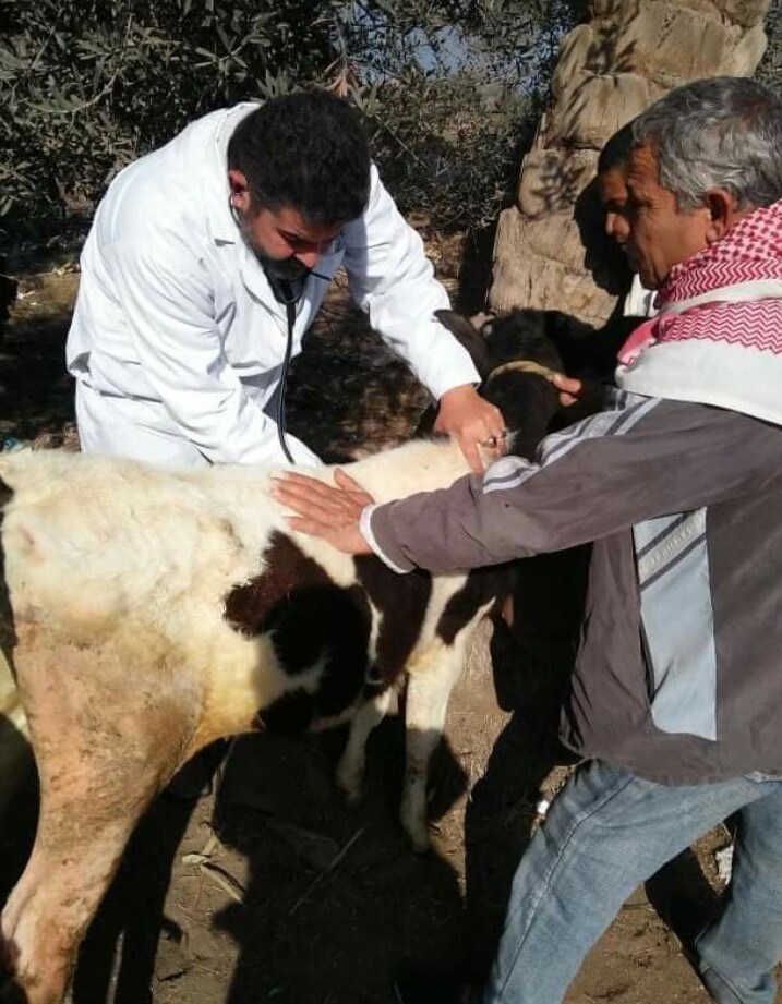 قوافل بيطرية من جامعة الزقازيق للقري الاكثر احتياجا  بالشرقية