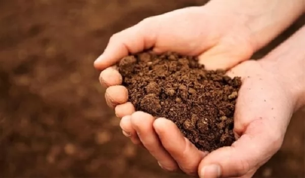 "من الأرض وإليها نعود"..دروس وحقائق تطرحها فلسفة الخلق الطينية 