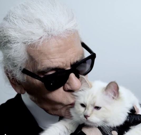 قط يرث 3 ملايين دولار بوصية من مصمم الأزياء العالمي