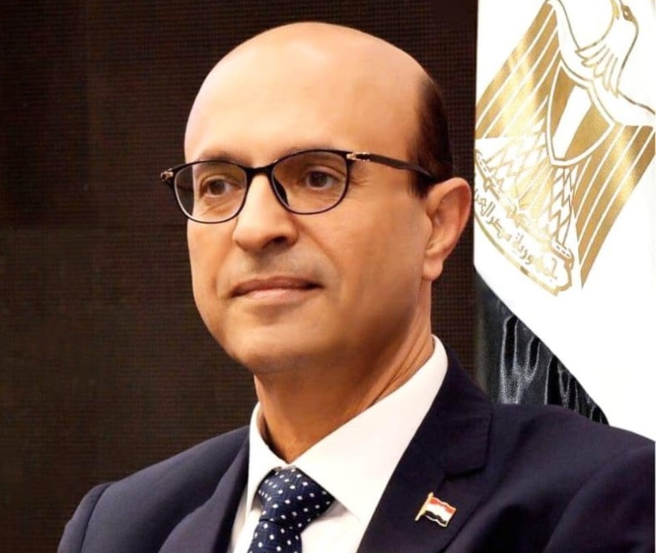 الأستاذ الدكتور أحمد المنشاوى