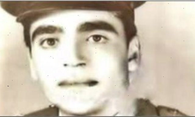 محمود الجندى