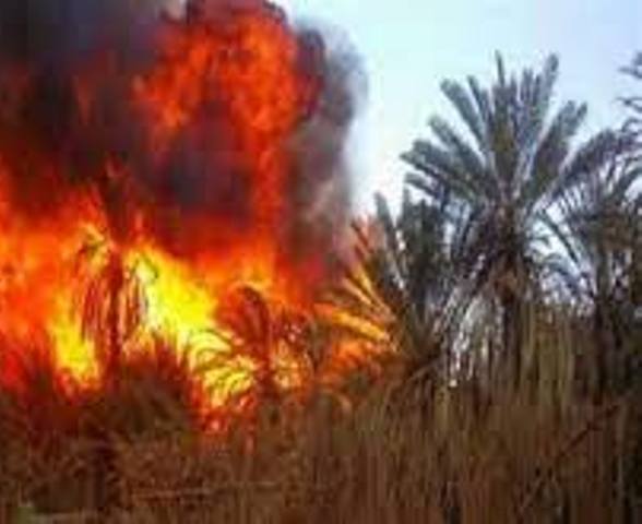 صورة ارشيفية