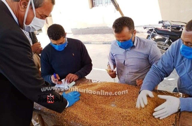 محافظ كفرالشيخ أثناء متابعته لعملية توريد القمح للصوامع والشون 