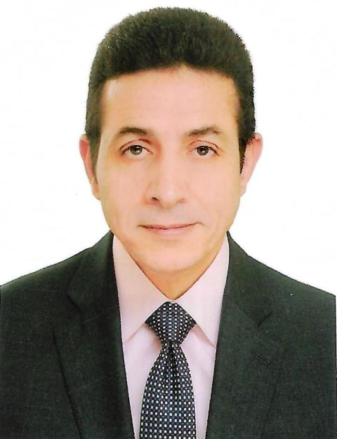 الدكتور عادل السيوي
