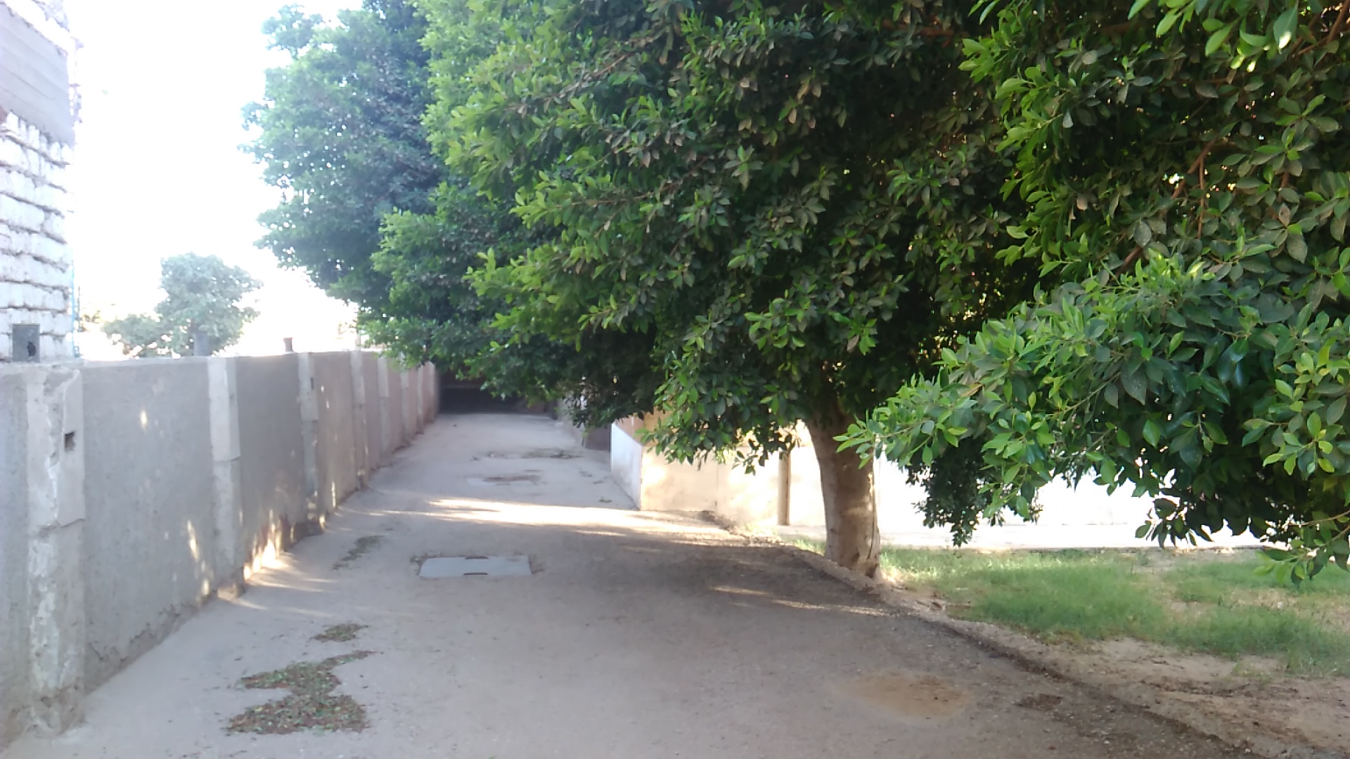 منزل 