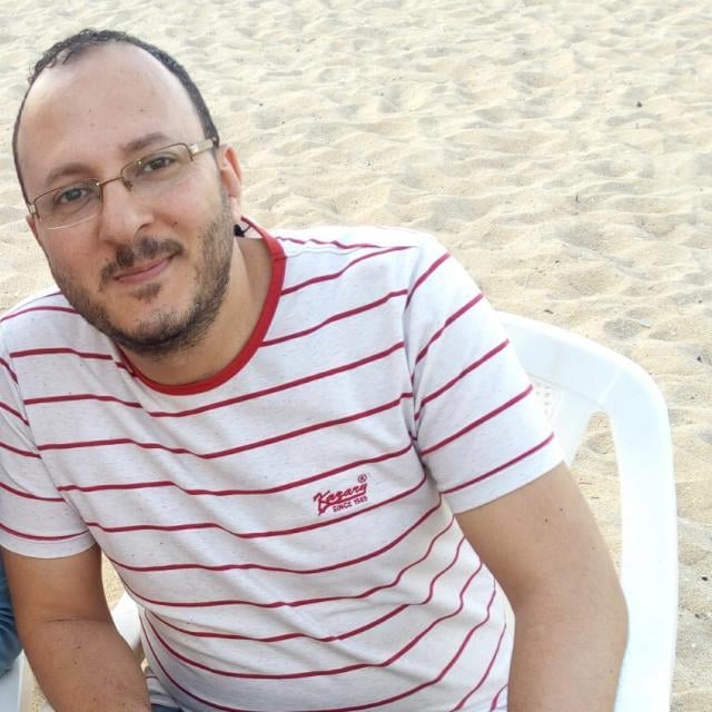 مهندس محمد حلمى بسيونى
