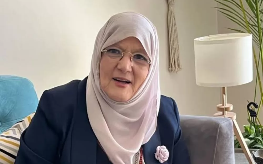 شمس البارودي
